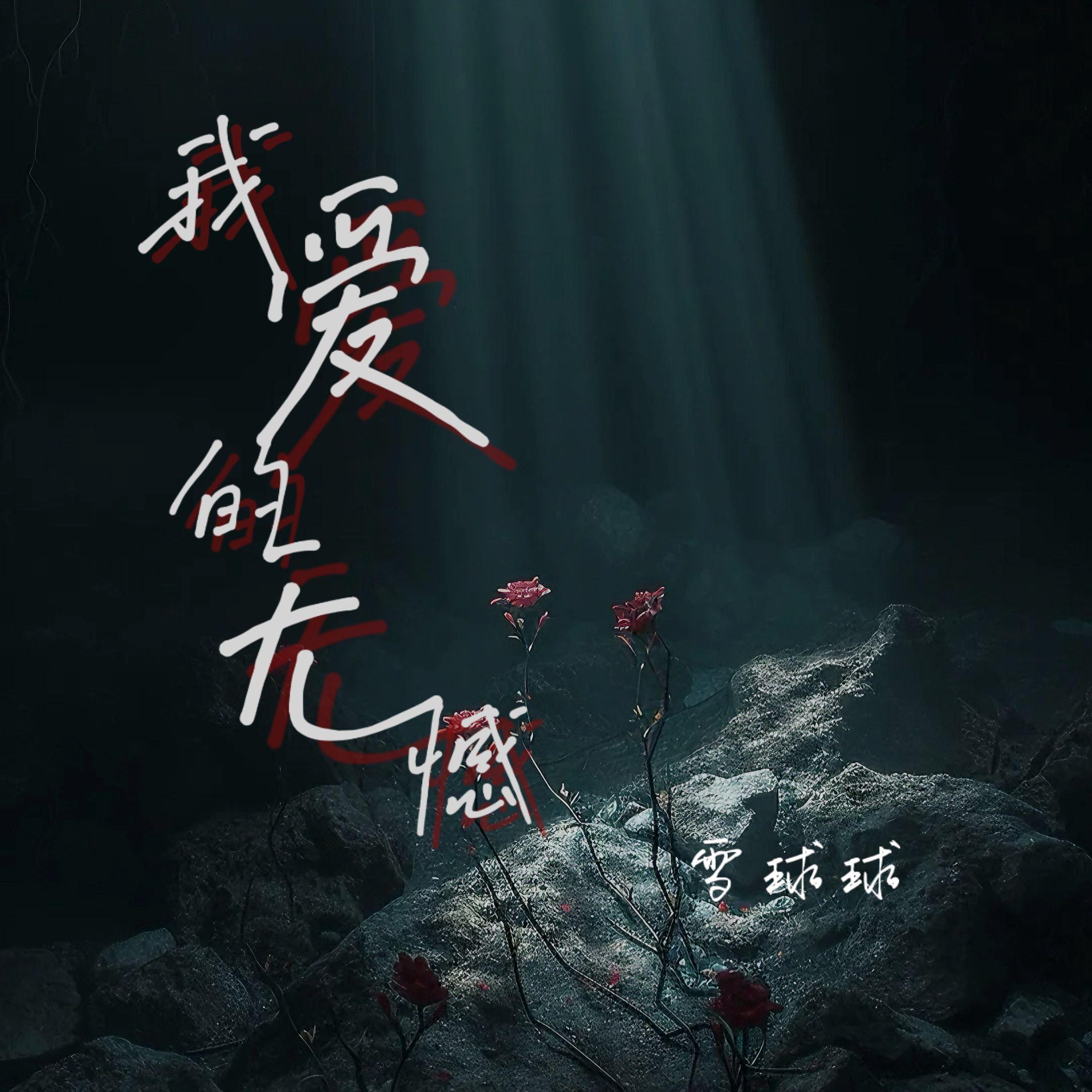 我爱的无憾封面