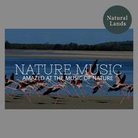 Nature Music - Amazed at the Music of Nature