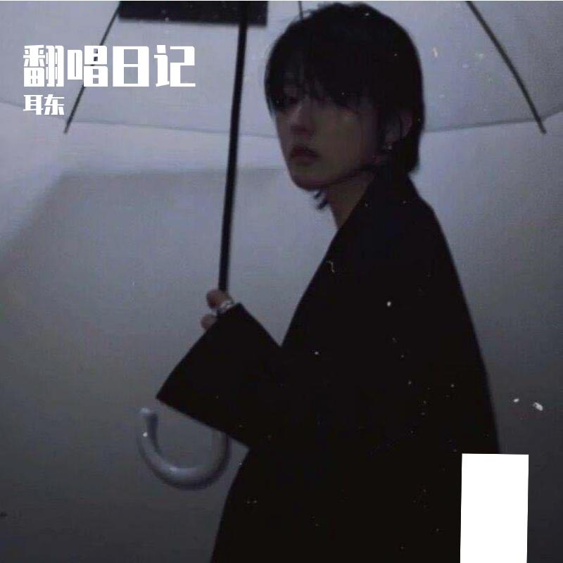 layla蕾拉 - 耳东封面