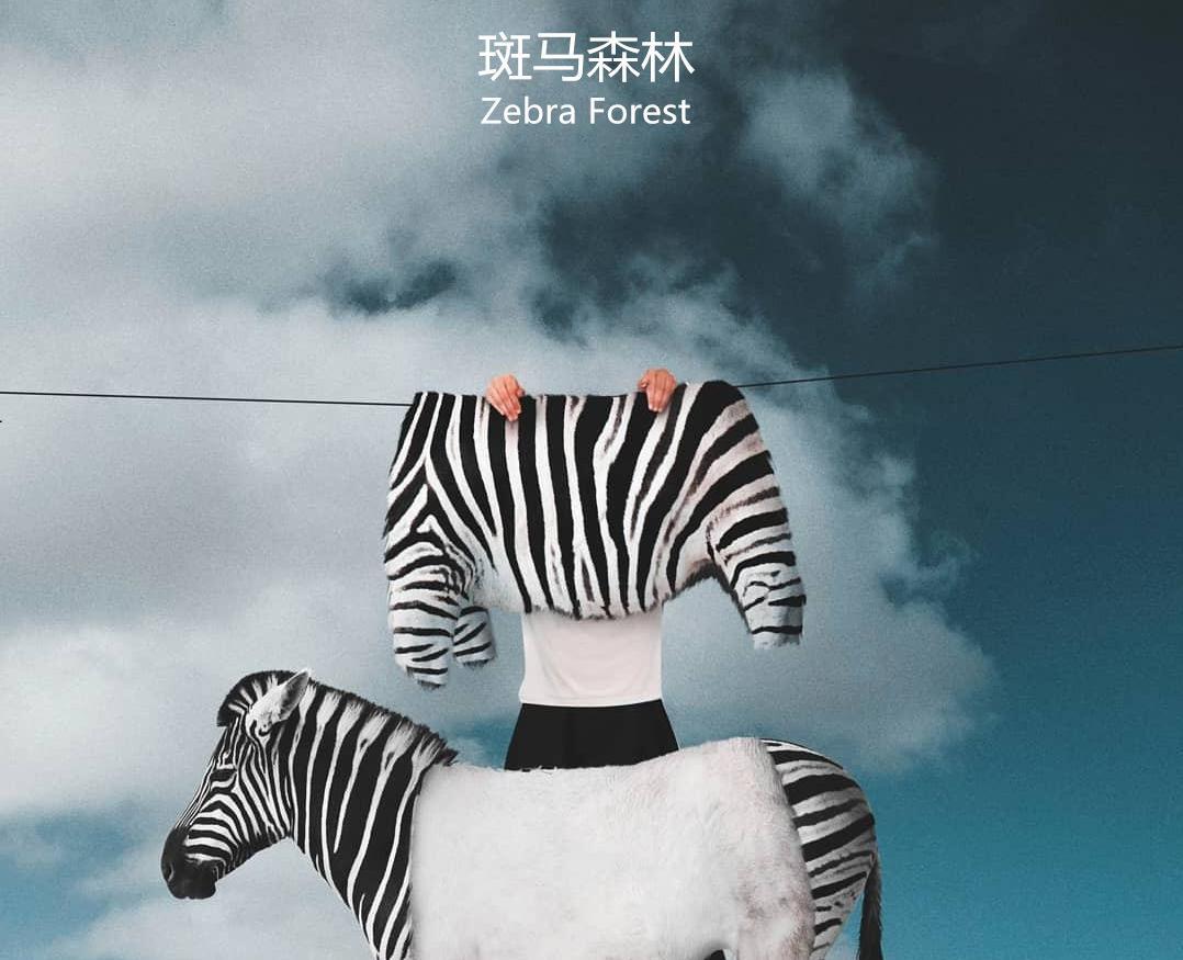 斑马森林乐队
