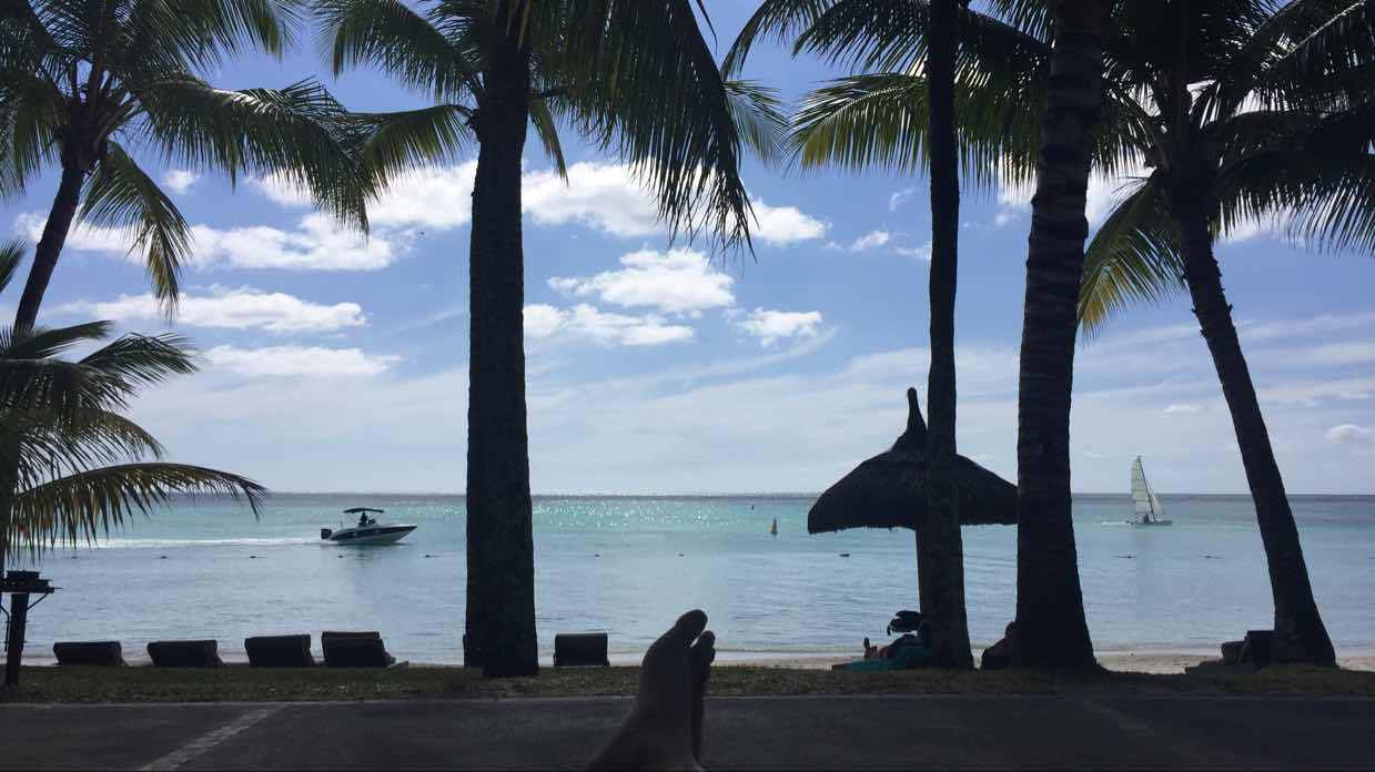 被玩坏的爱丽丝