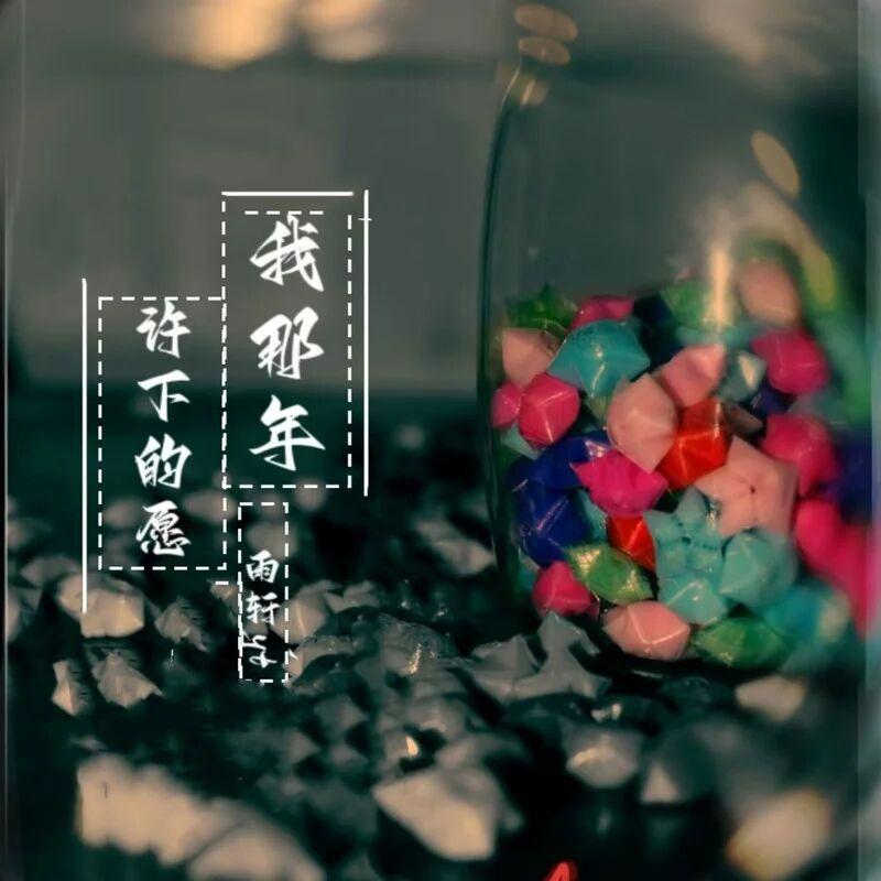 我那年许下的愿封面