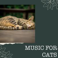 Music For Cats