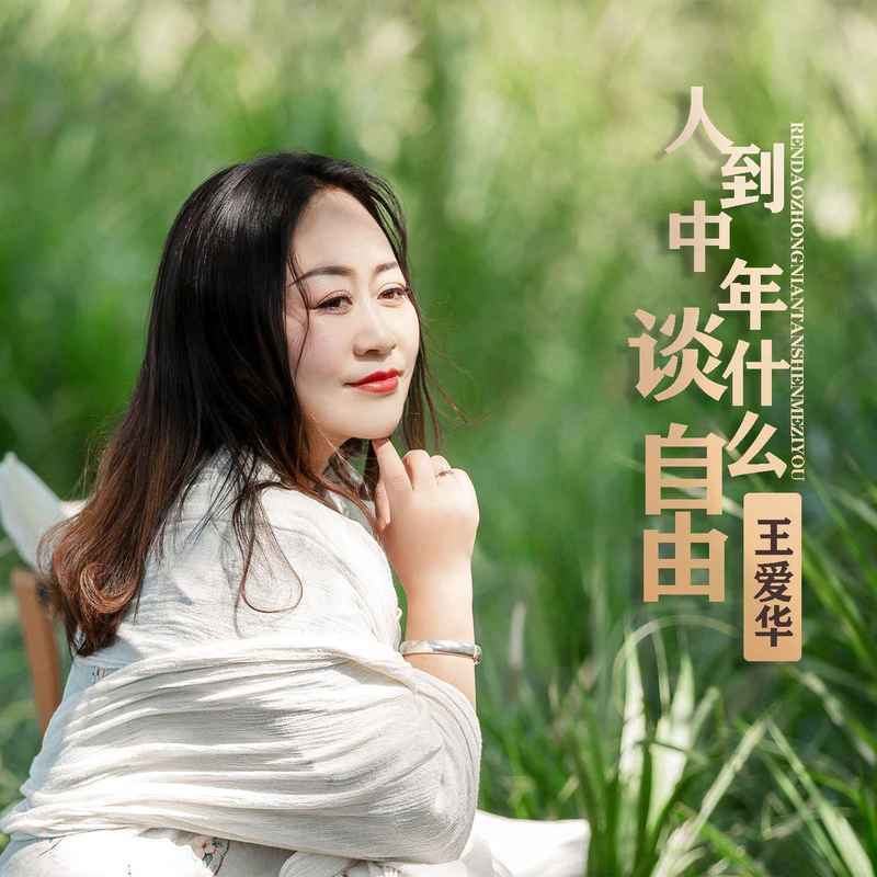 人到中年谈什么自由 (DJ默涵版)封面