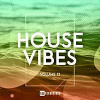 House Vibes, Vol. 12