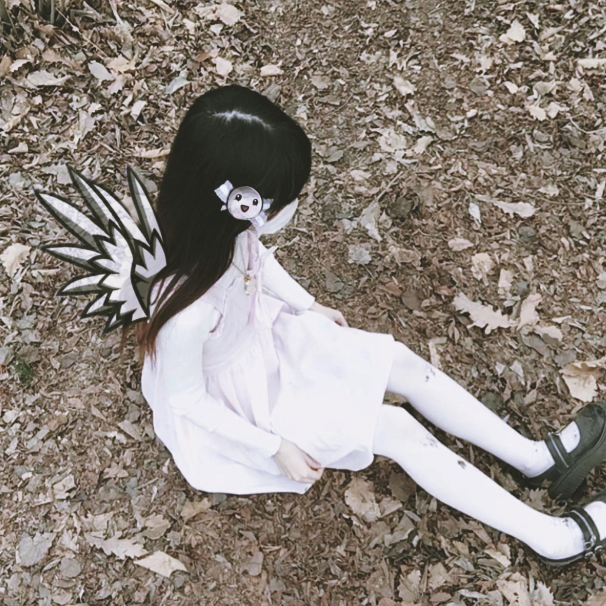 falling ashes 死灰飘零/╲/\╭ºoꍘoº╮/\╱\