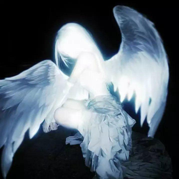 红豆（阿卡贝拉）