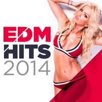 EDM Hits 2014