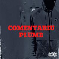 Comentariu Plumb