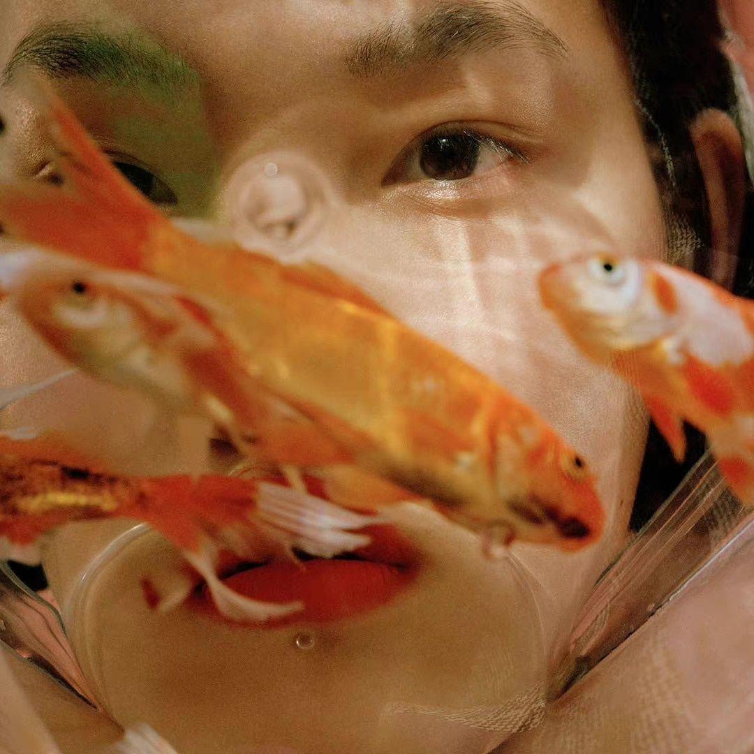 Gold fish *秋风不渡金鱼湖