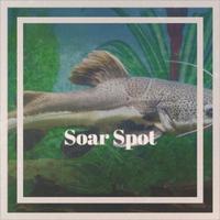 Soar Spot