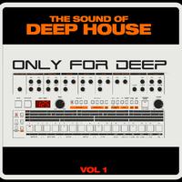 The Sound of Deep House: Only for Deep Vol.1