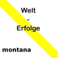 Welt-Erfolge