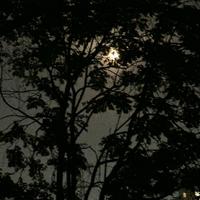 顾彦深资料,顾彦深最新歌曲,顾彦深MV视频,顾彦深音乐专辑,顾彦深好听的歌