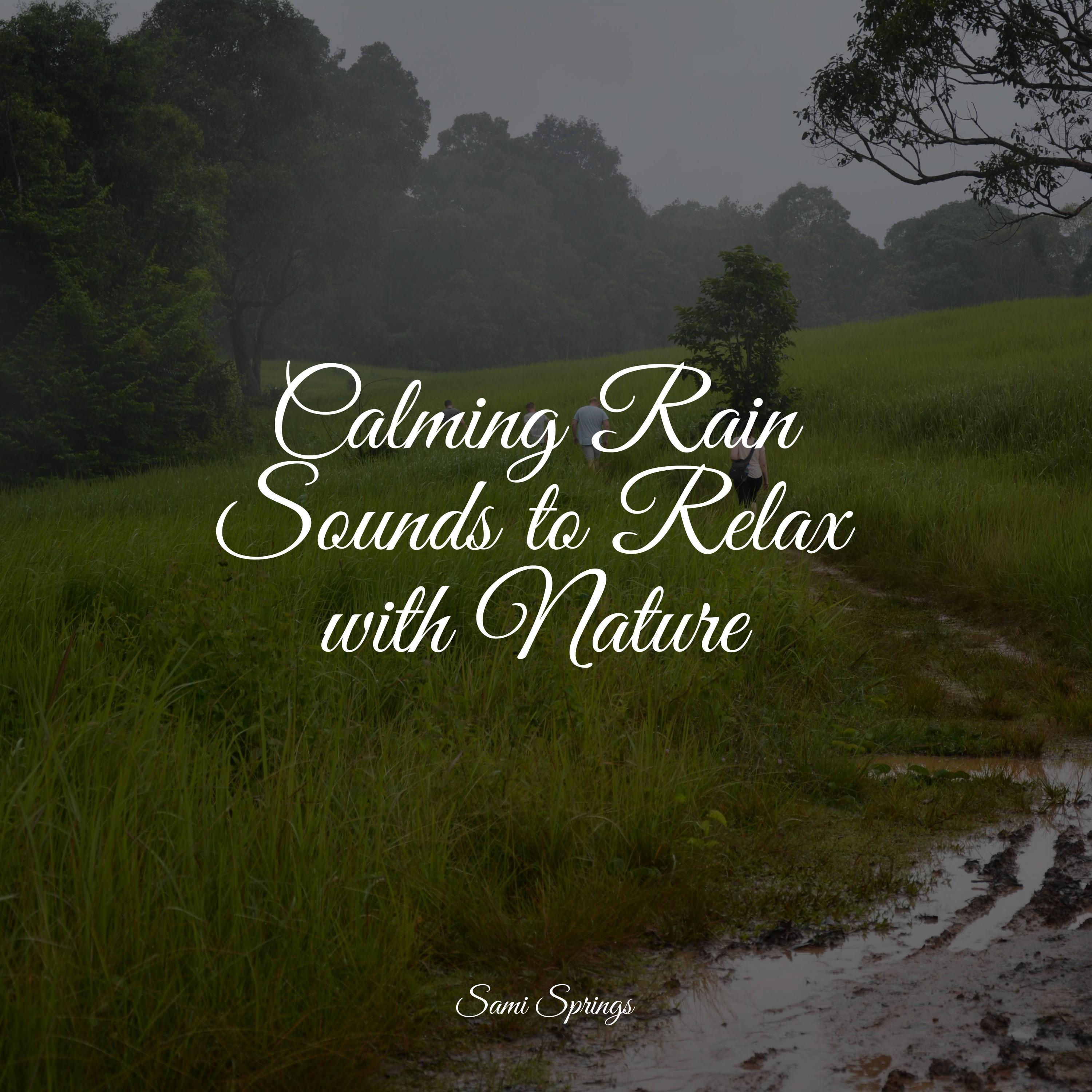 watching-rains-binaural-beats-easy-sleep-music-spa