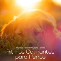 Ritmos Calmantes para Perros