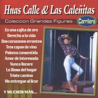 Hnas Calle & Las Caleñitas