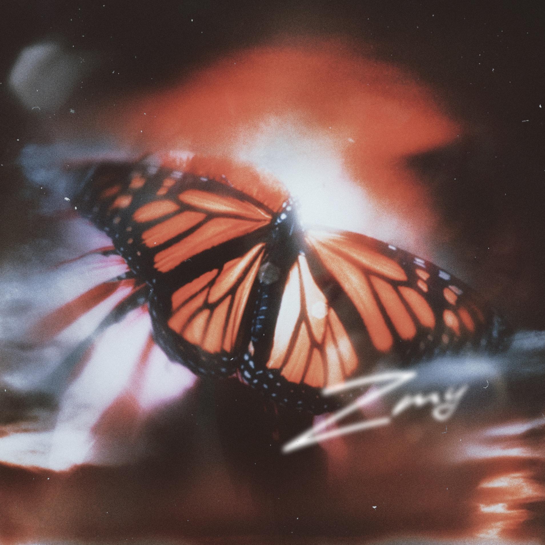 梦蝶（Butterfly）Prod.by MORROW封面