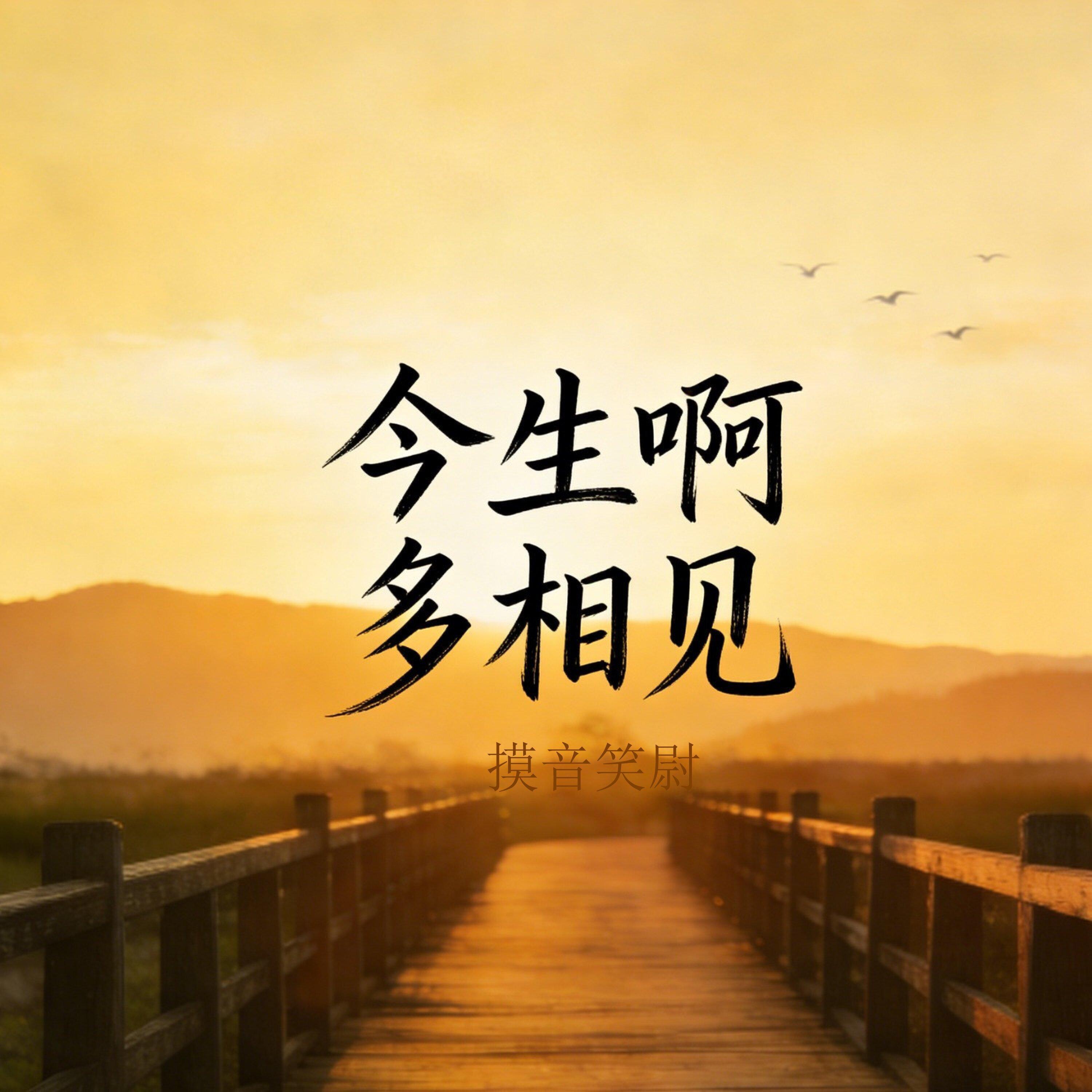 今生啊 多相见 (思念版)封面