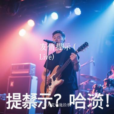 友情提示  (Live) (Cover 薛之谦)封面