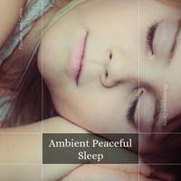 Ambient Peaceful Sleep