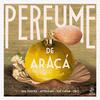 Iara Ferreira - Perfume de Araçá (Instrumental)