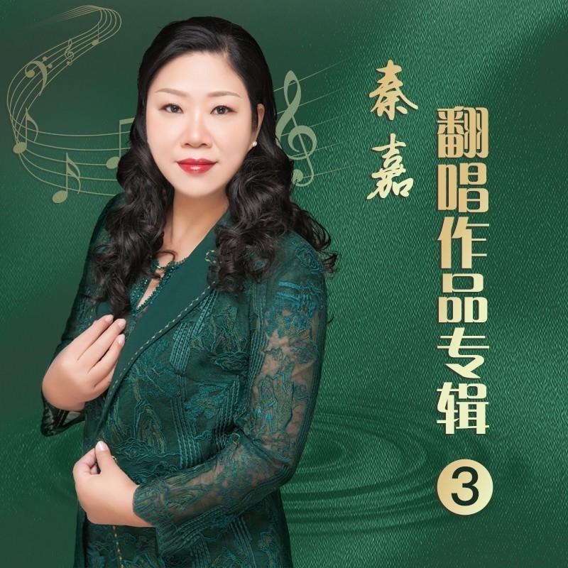 言不由衷的人封面