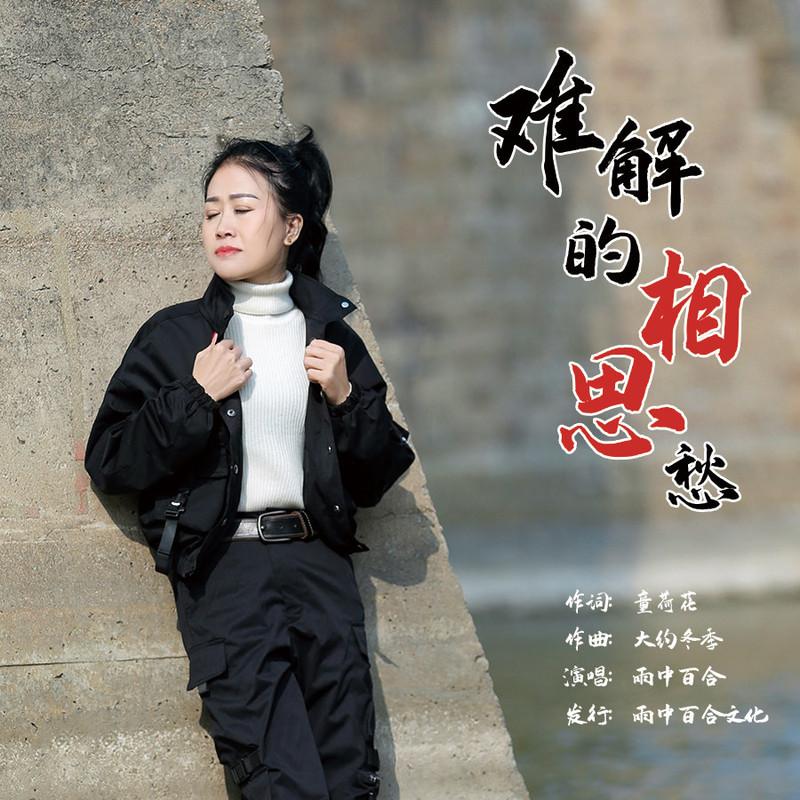 难解的相思愁 (伴奏)封面