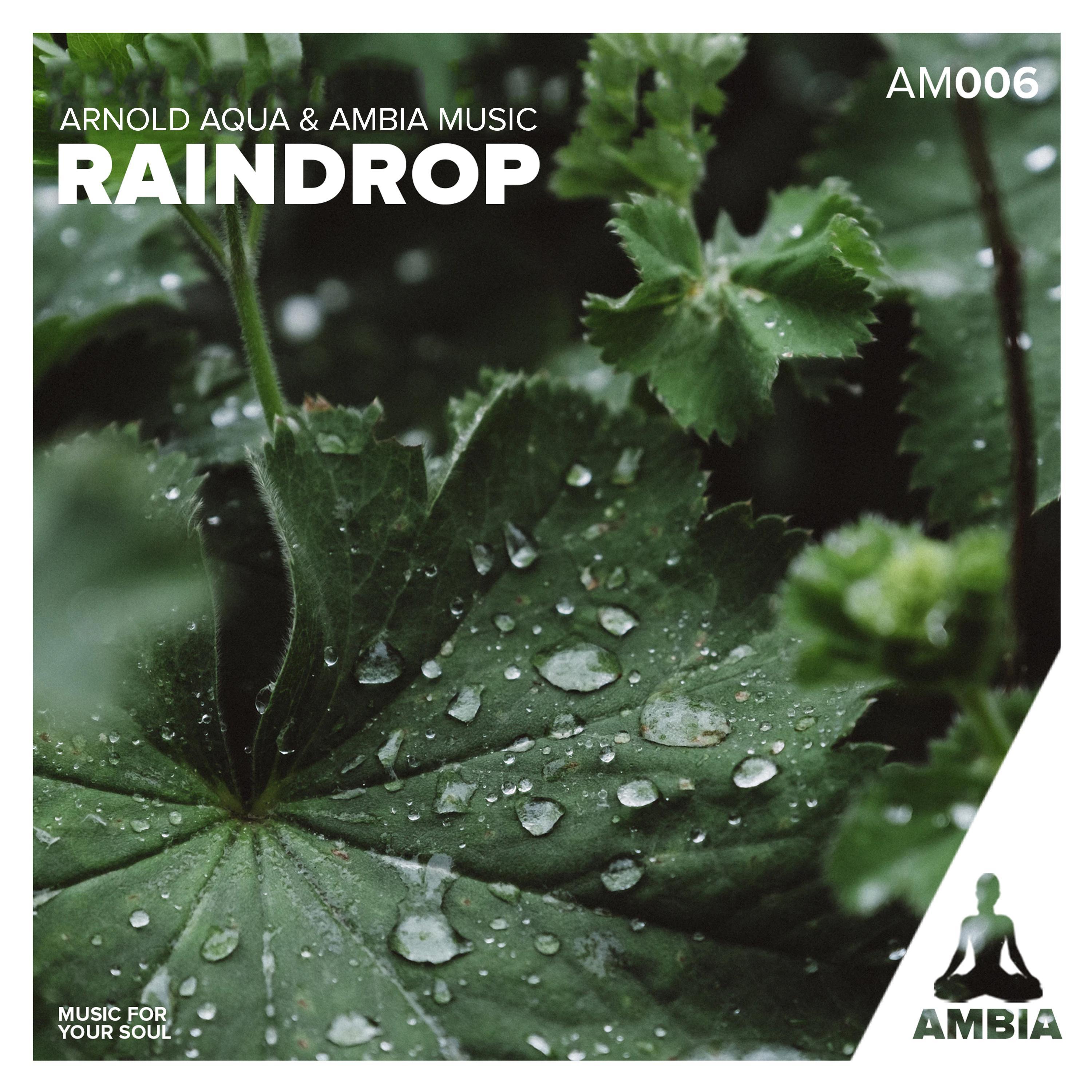 Raindrop II