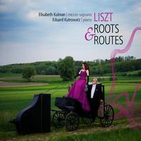 LISZT - ROOTS & ROUTES