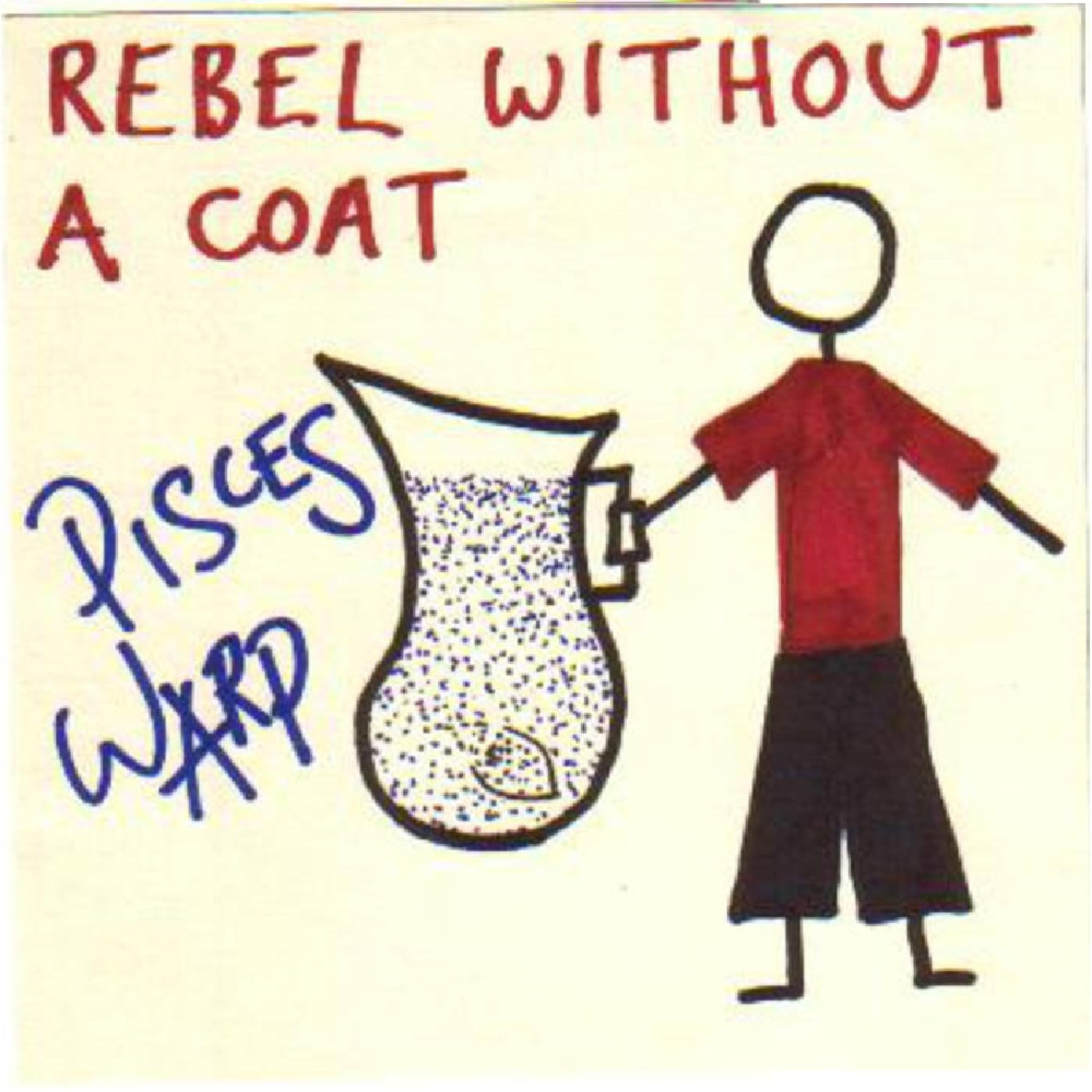 Looking In The Woods