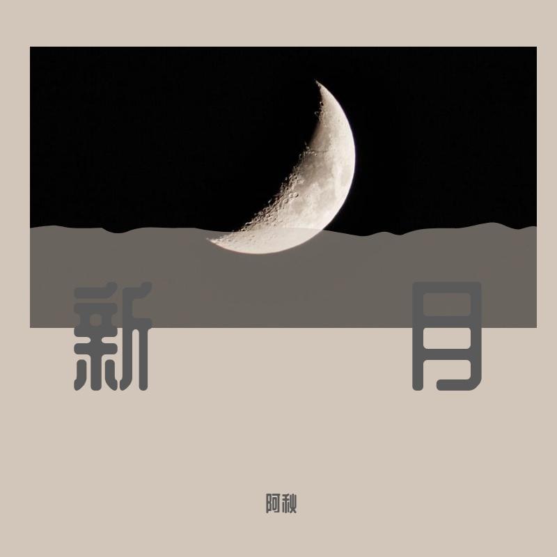 野花在风中封面