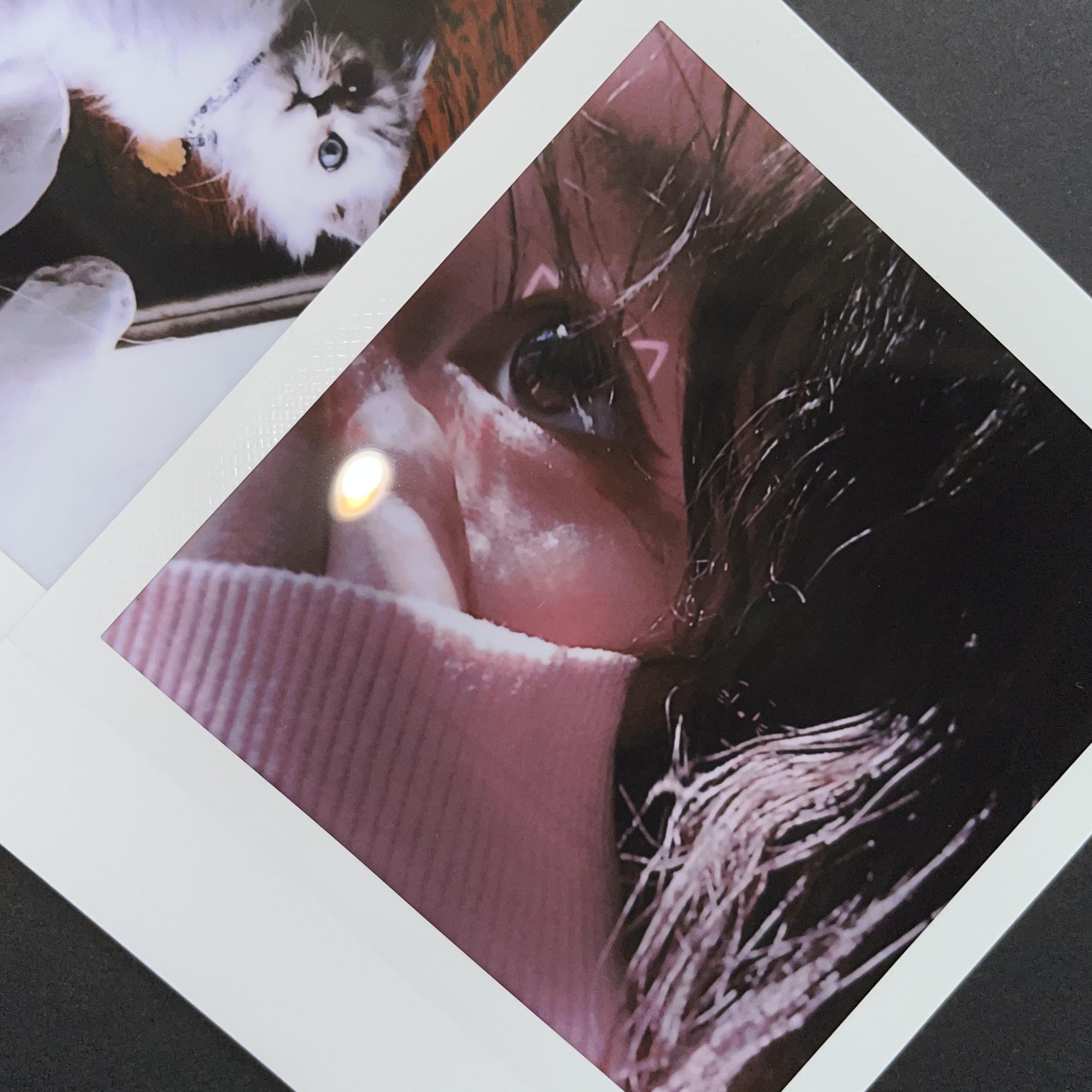 你的猫咪（翻自 Hanser）