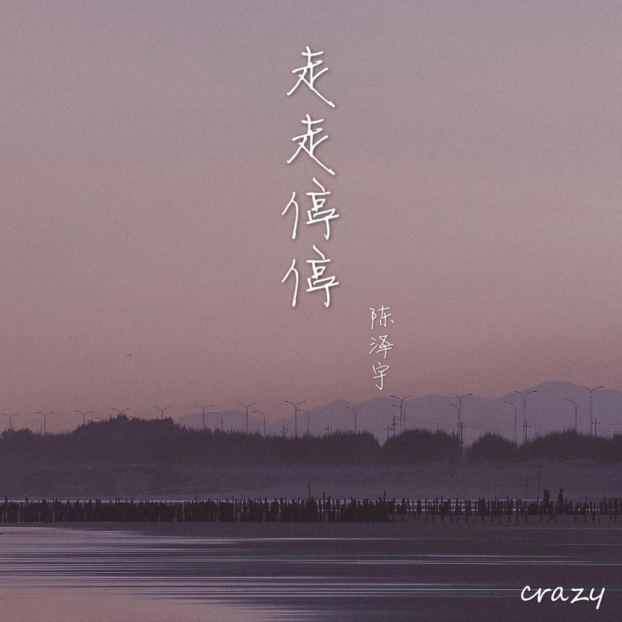 走走停停 - 陈泽宇封面