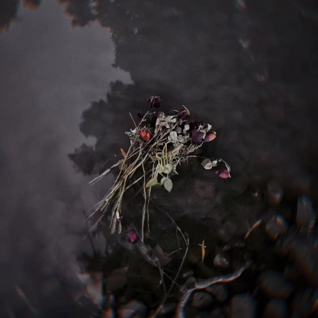 【FREE可商用】“宋岳庭的翅膀又多了一片羽毛” Trap type beat