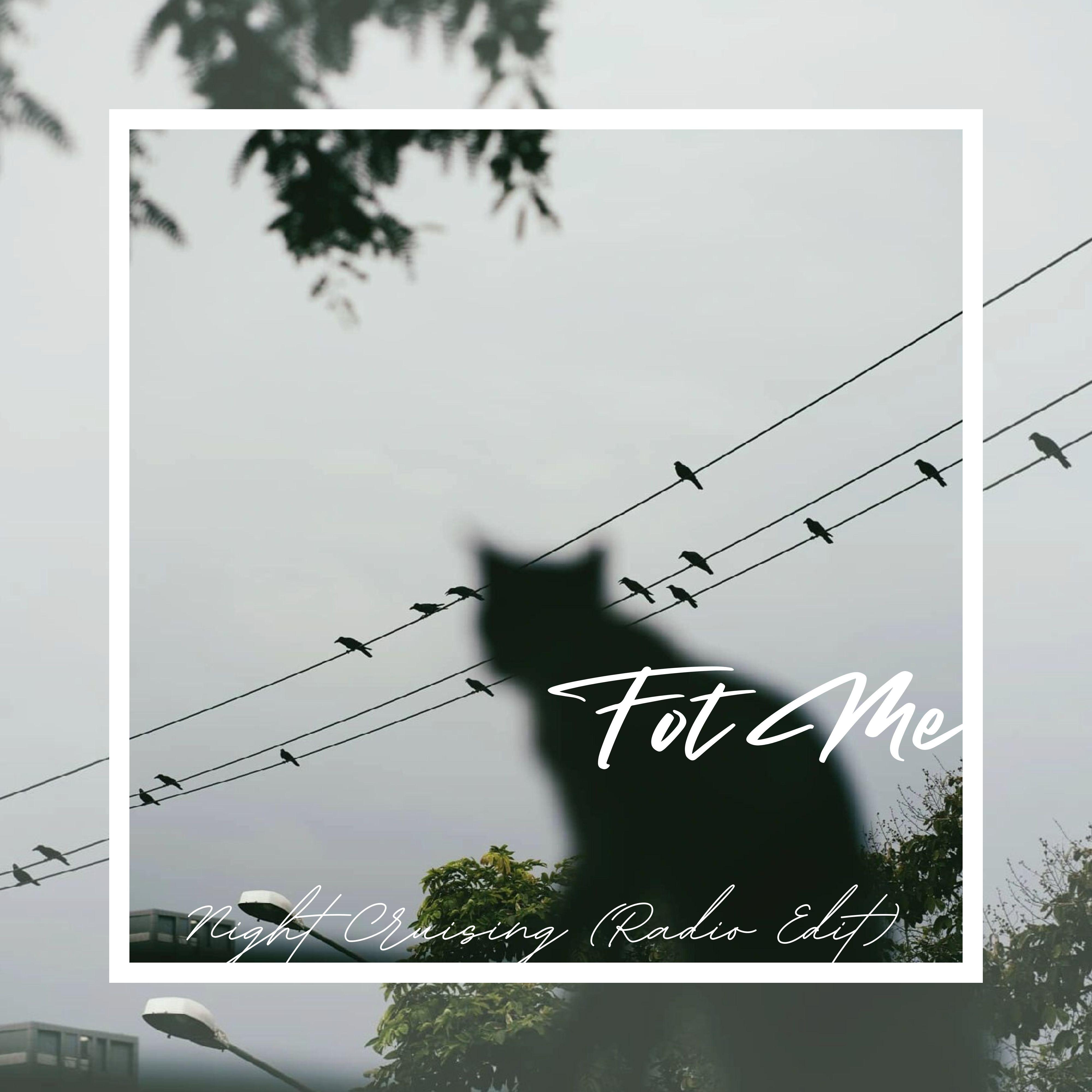 Night Cruising (Radio Edit)