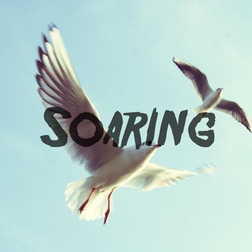 song-img