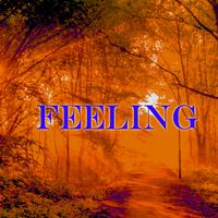 Feeling