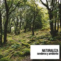 Naturaleza: senderos y ambiente