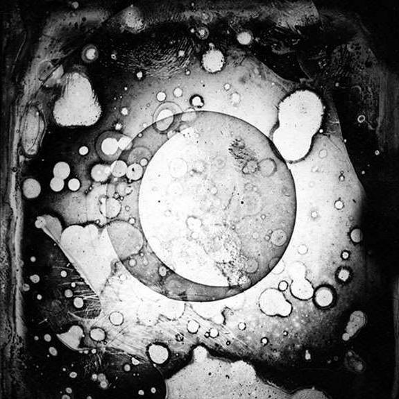 Egon Dondy's Mushroom