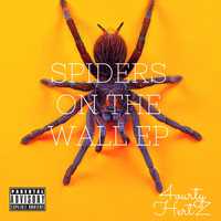 SPIDERS ON THE WALL EP (EP)