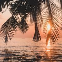 让我删号吧球球审核