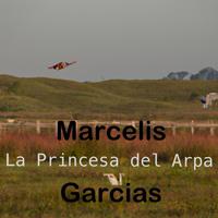 La Princesa Del Arpa