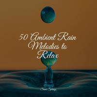 50 Ambient Rain Melodies to Relax