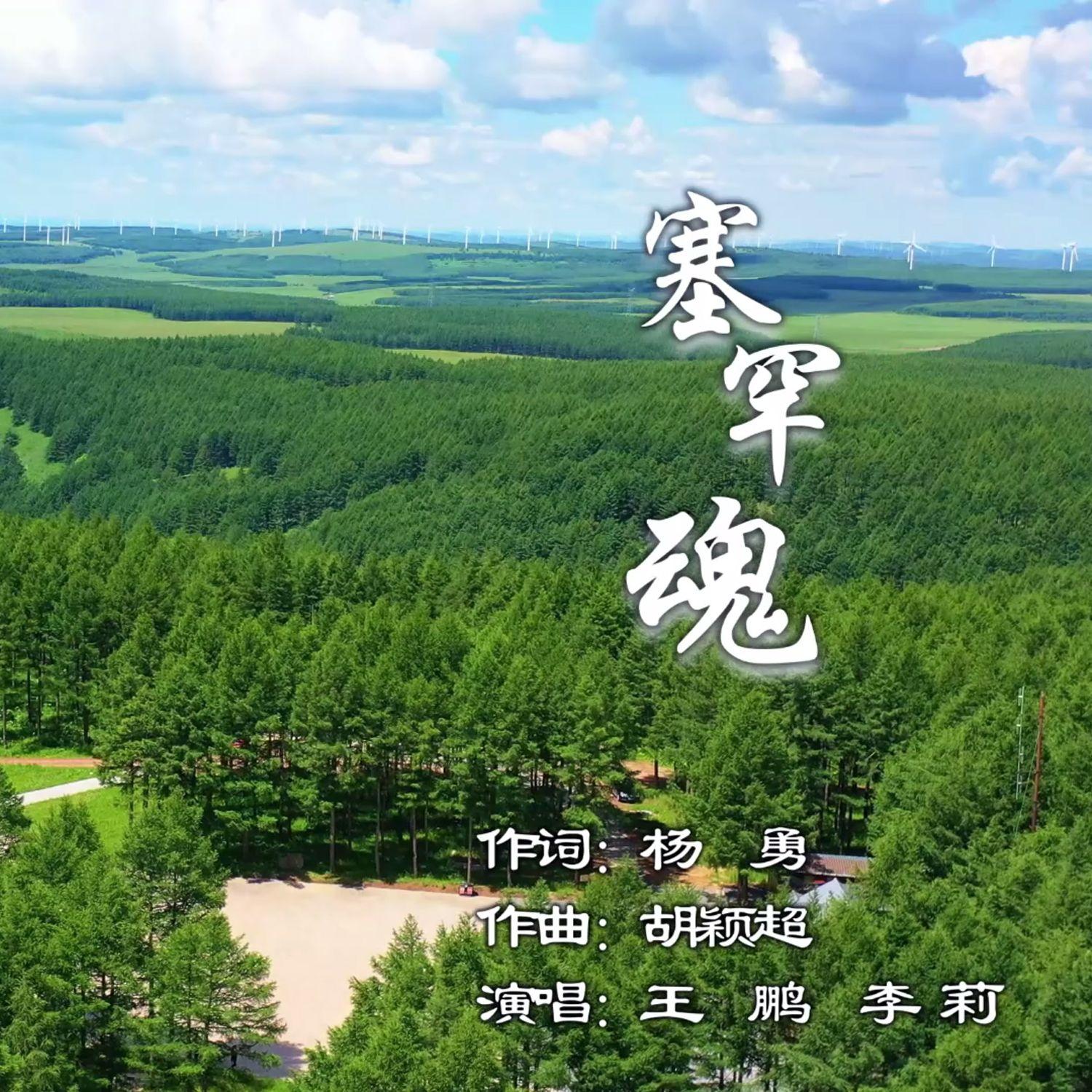 塞罕魂 伴奏版封面