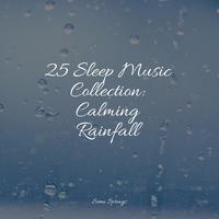 25 Sleep Music Collection: Calming Rainfall