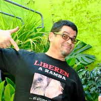 Joe Vasconcellos资料,Joe Vasconcellos最新歌曲,Joe VasconcellosMV视频,Joe Vasconcellos音乐专辑,Joe Vasconcellos好听的歌