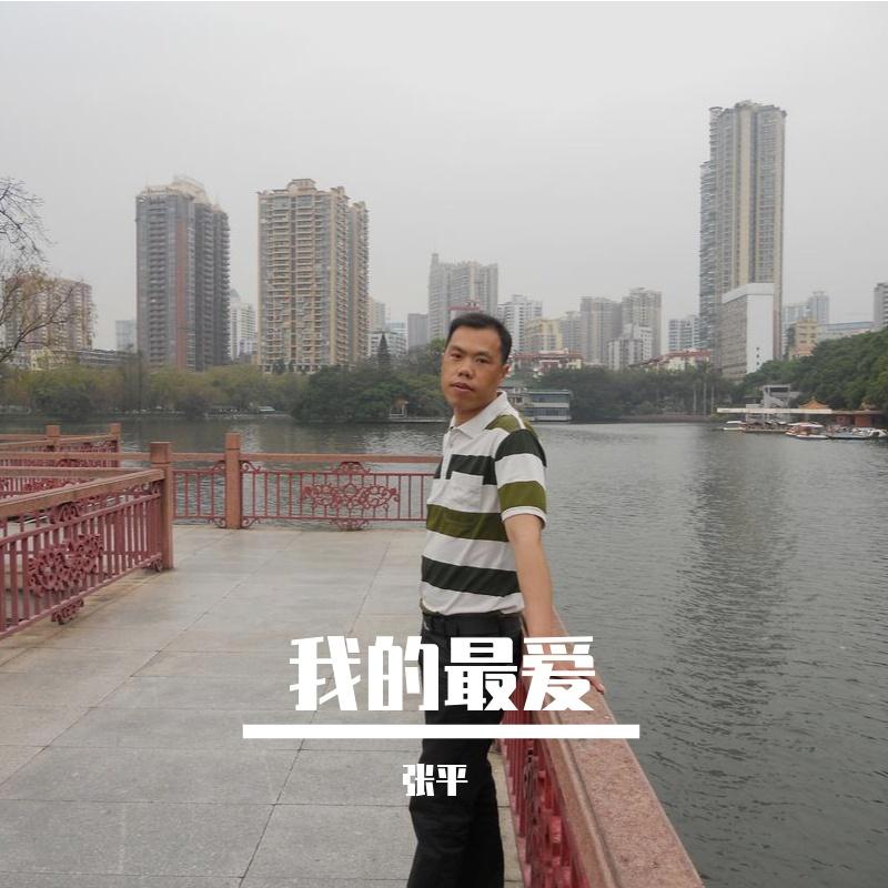 我爱的白莲 伴奏封面