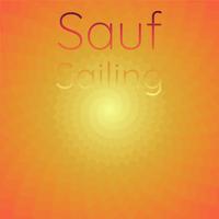 Sauf Sailing