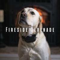 Fireside Serenade: Chill Sounds for a Calm Doggy Retreat